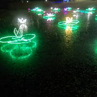 画像1427